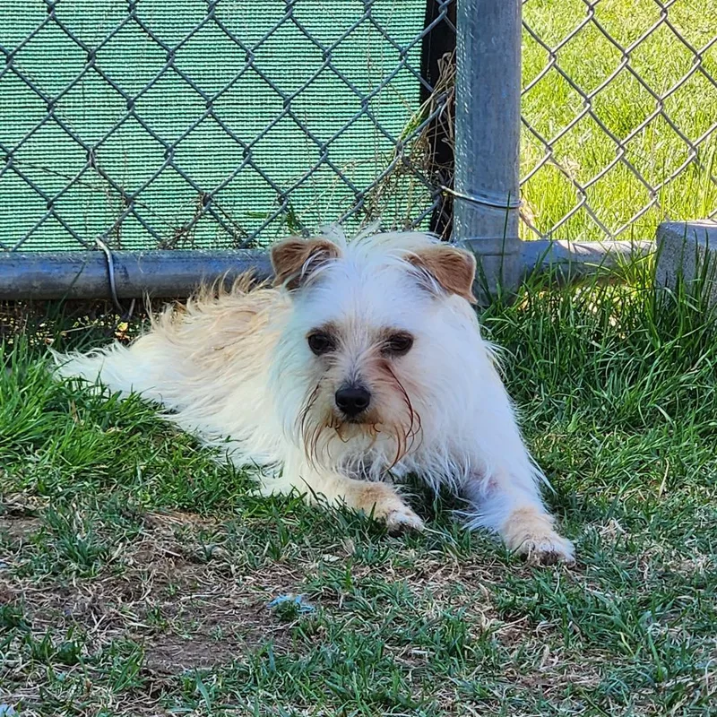 Frederick thumbnail 3