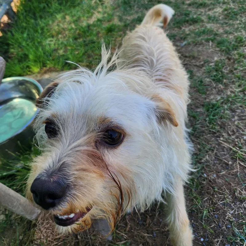 Frederick thumbnail 4