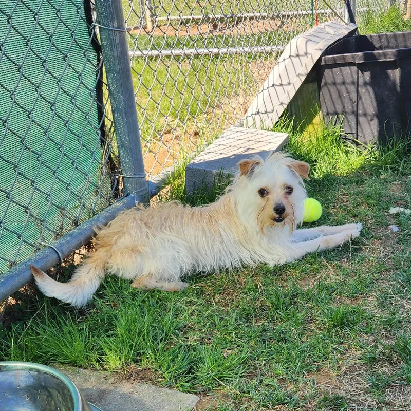 Frederick thumbnail 5