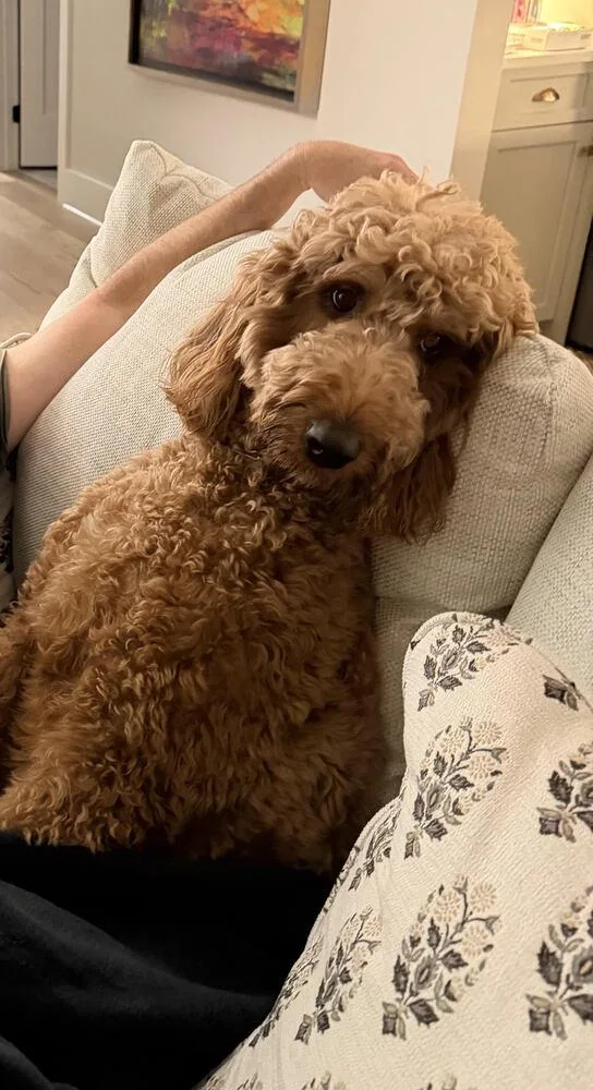 Rory