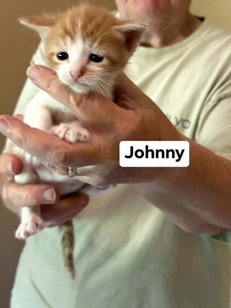 Johnny thumbnail 3