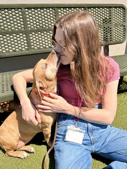 Bunny Rabbit thumbnail 3