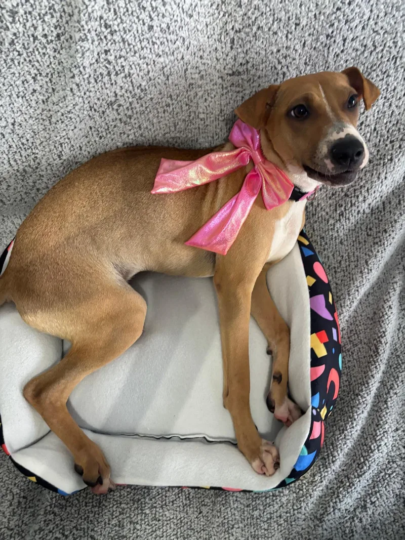 Samantha thumbnail 2