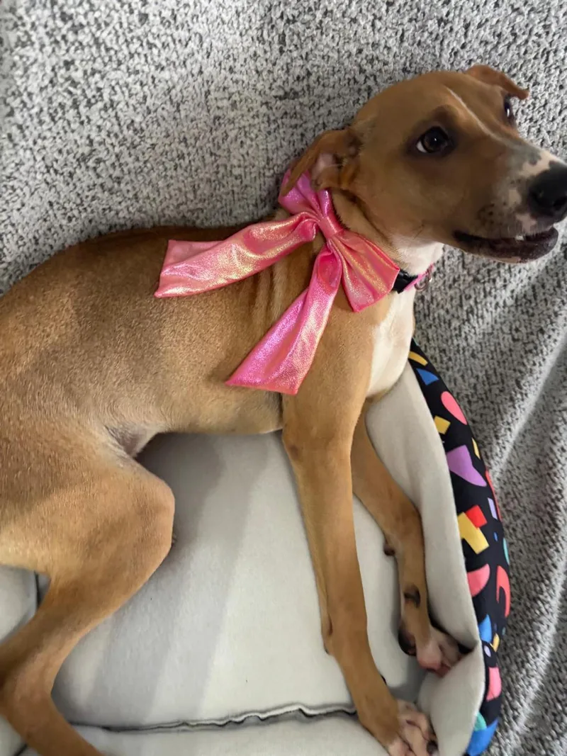 Samantha thumbnail 3