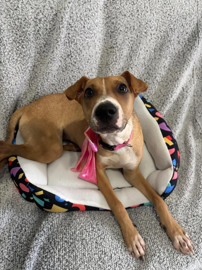 Samantha thumbnail 4