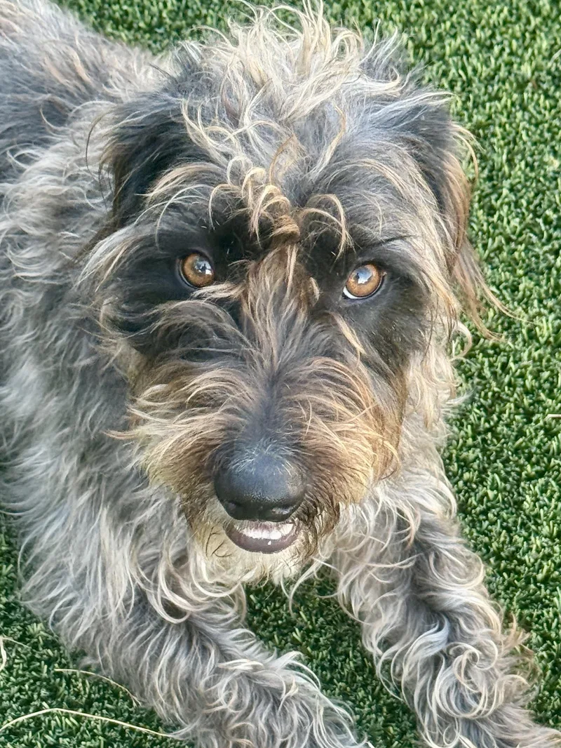 Charlie The Handsome