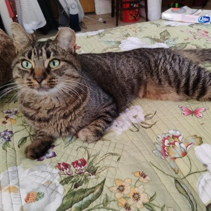 Patti  F thumbnail 2