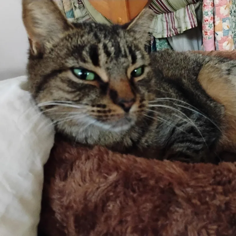 Patti  F thumbnail 3