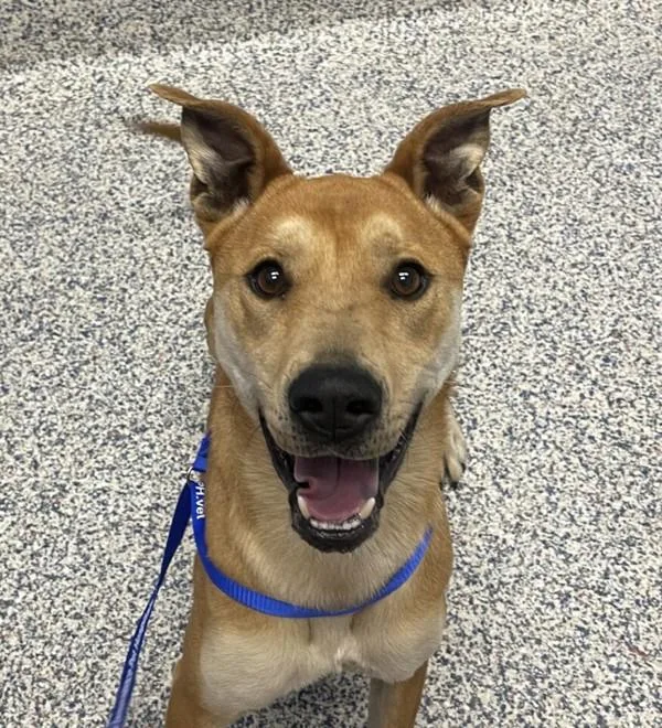 Trinity
