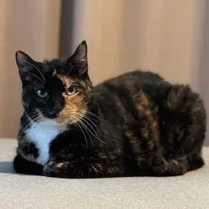 Paris Jo thumbnail 2