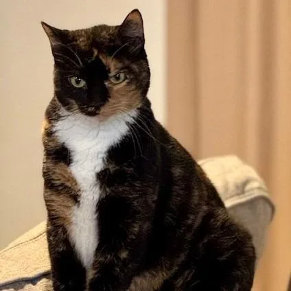 Paris Jo thumbnail 3