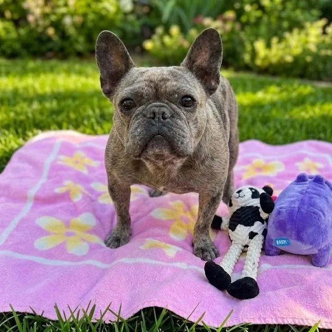 Rosie
