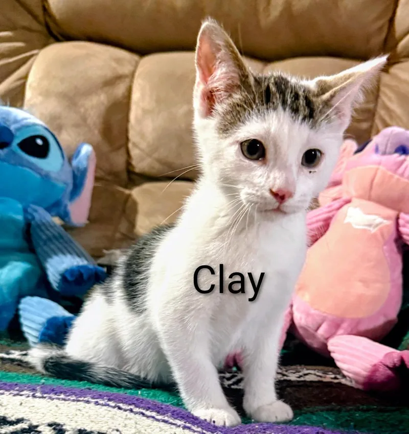 Clay thumbnail 2