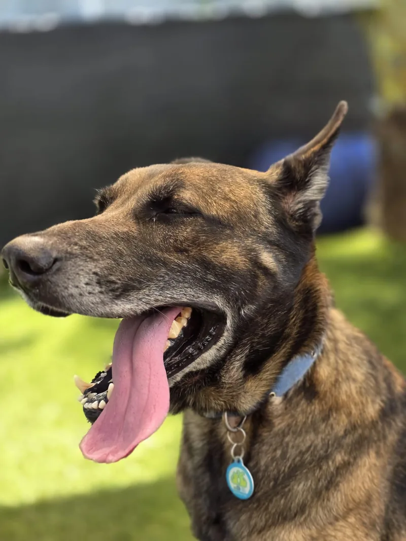 Max