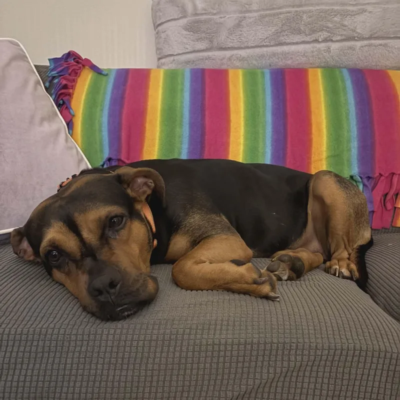 Maybelline thumbnail 2