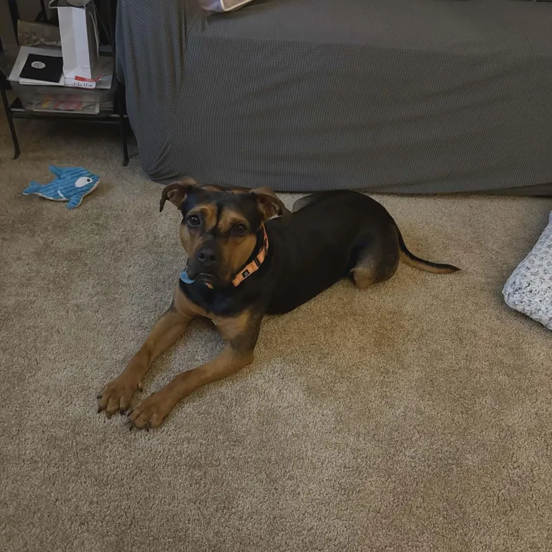 Maybelline thumbnail 3