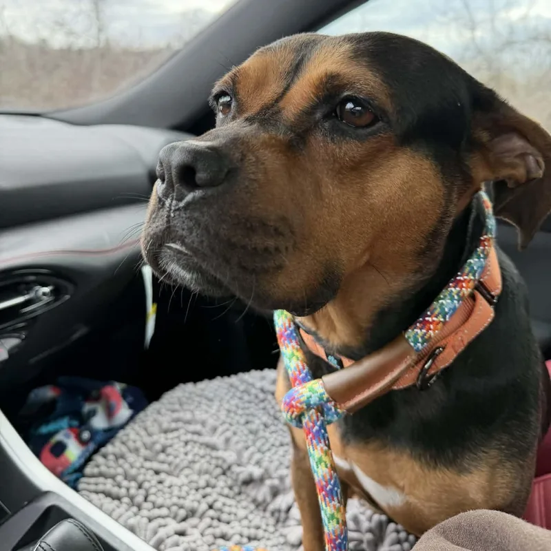 Maybelline thumbnail 4