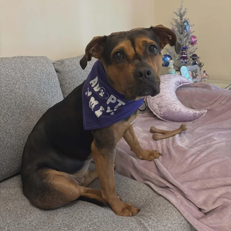 Maybelline thumbnail 5