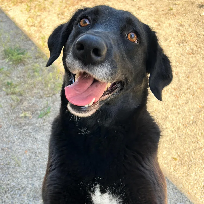 Winnie