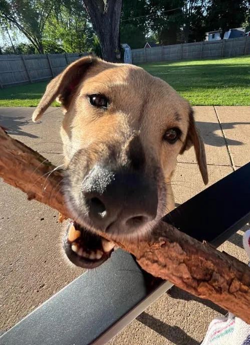 Brooklyn thumbnail 2