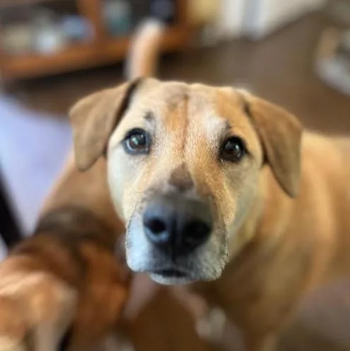 Brooklyn thumbnail 5