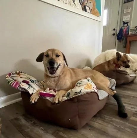 Brooklyn thumbnail 6