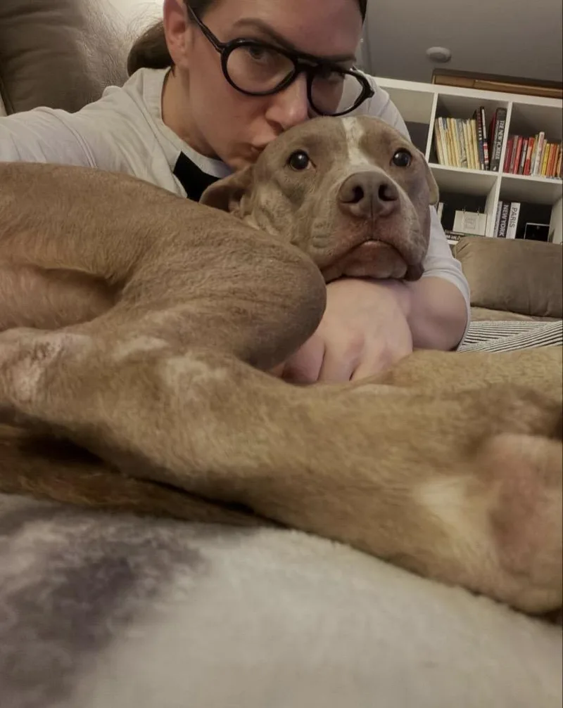 Bumblebee thumbnail 4