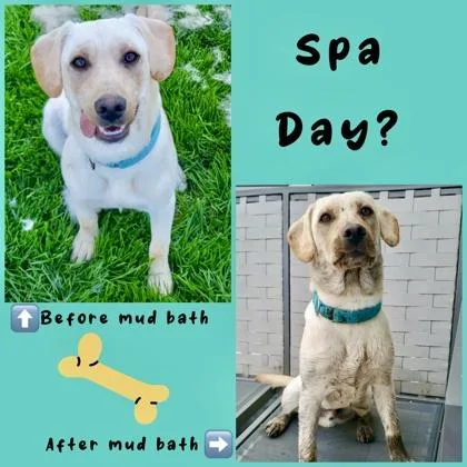 Everglade thumbnail 3