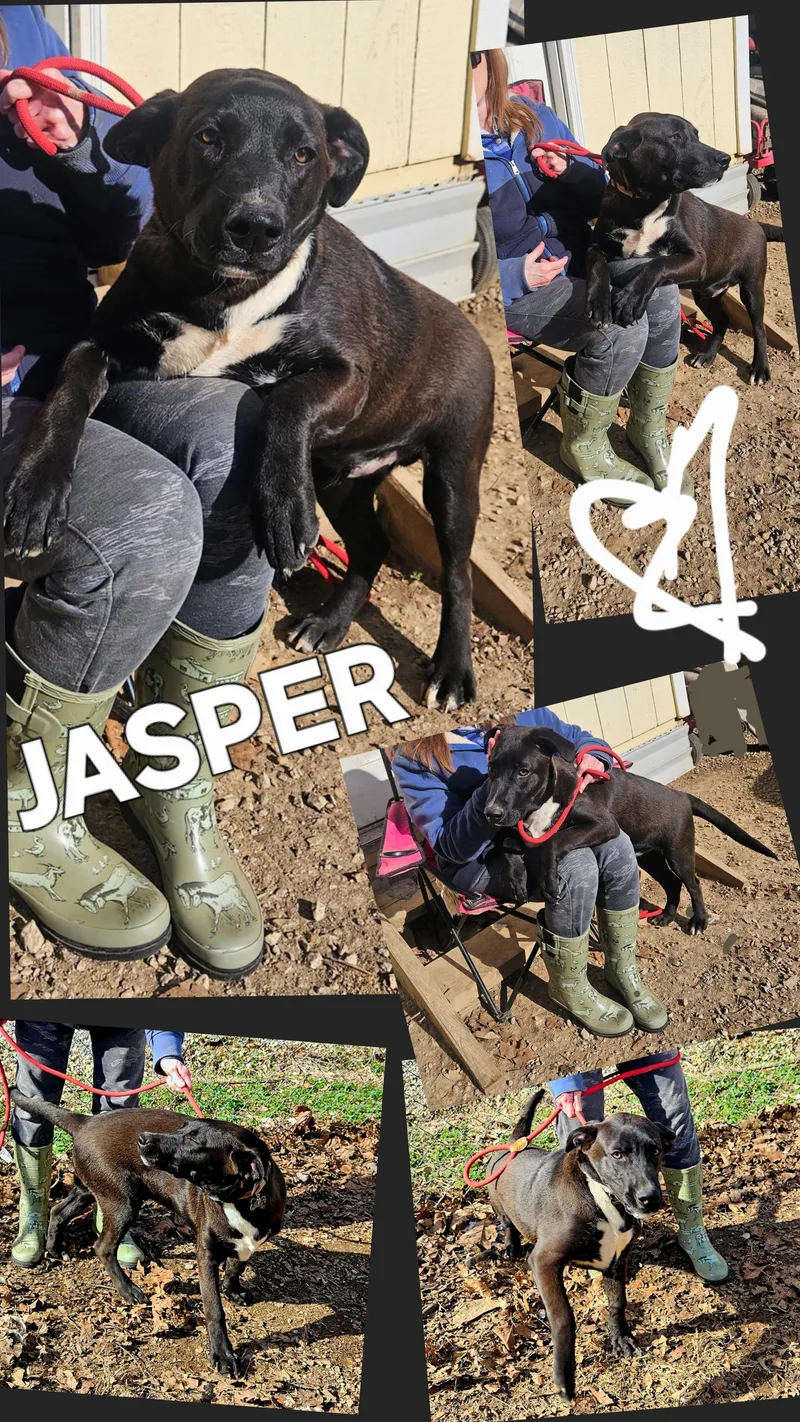 Jasper thumbnail 2