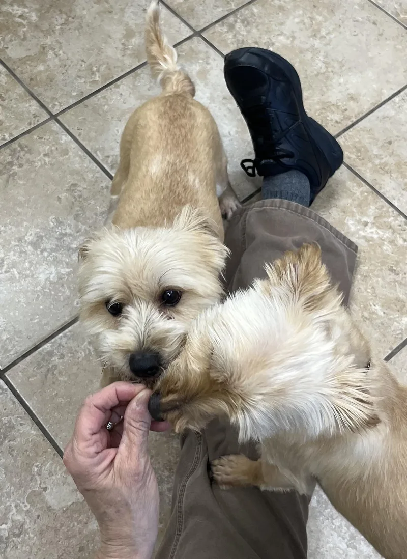 Winnie & Teddie thumbnail 2