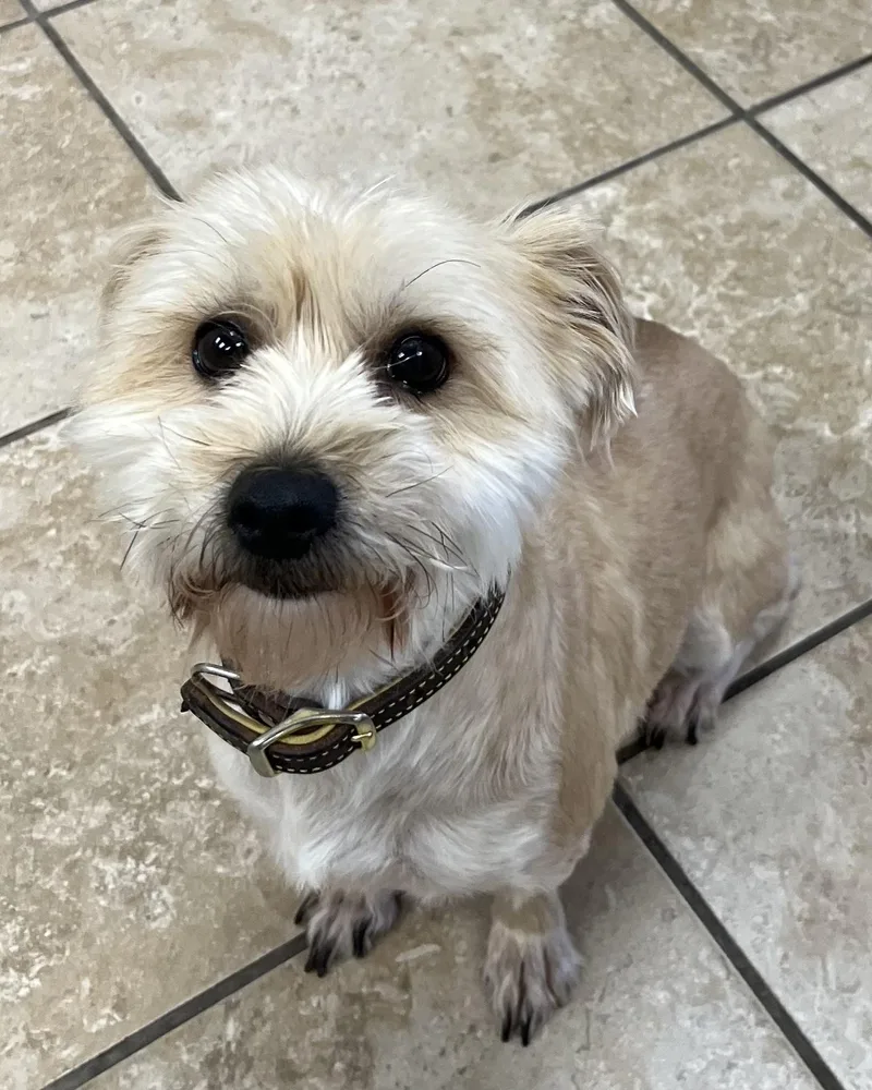 Winnie & Teddie thumbnail 3