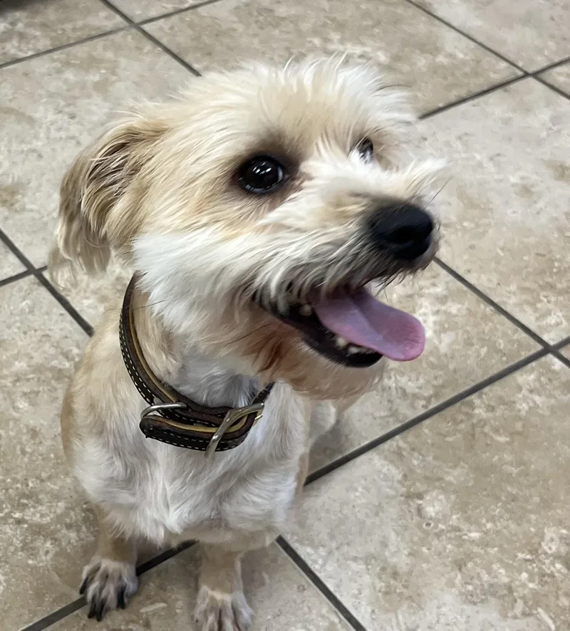 Winnie & Teddie thumbnail 4