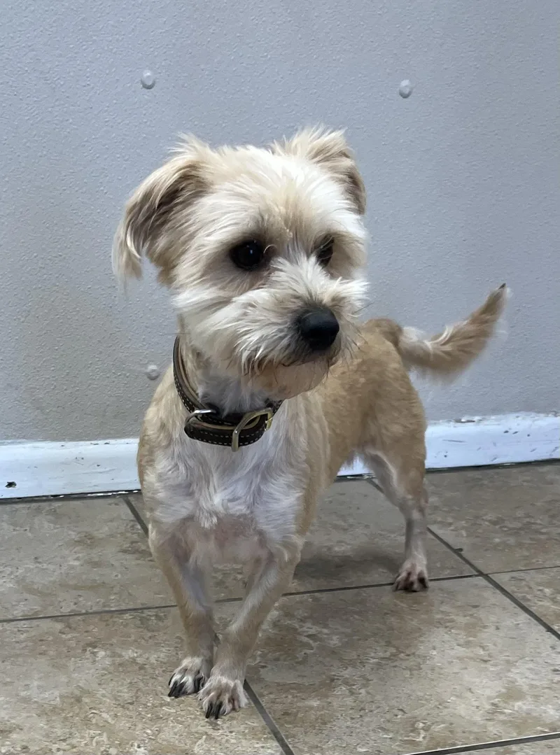 Winnie & Teddie thumbnail 5