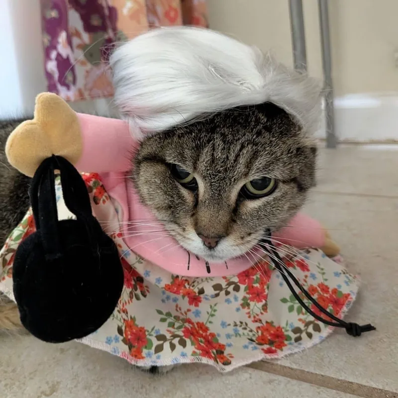 Strega Nona thumbnail 3