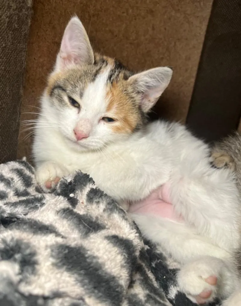 Reputation thumbnail 2