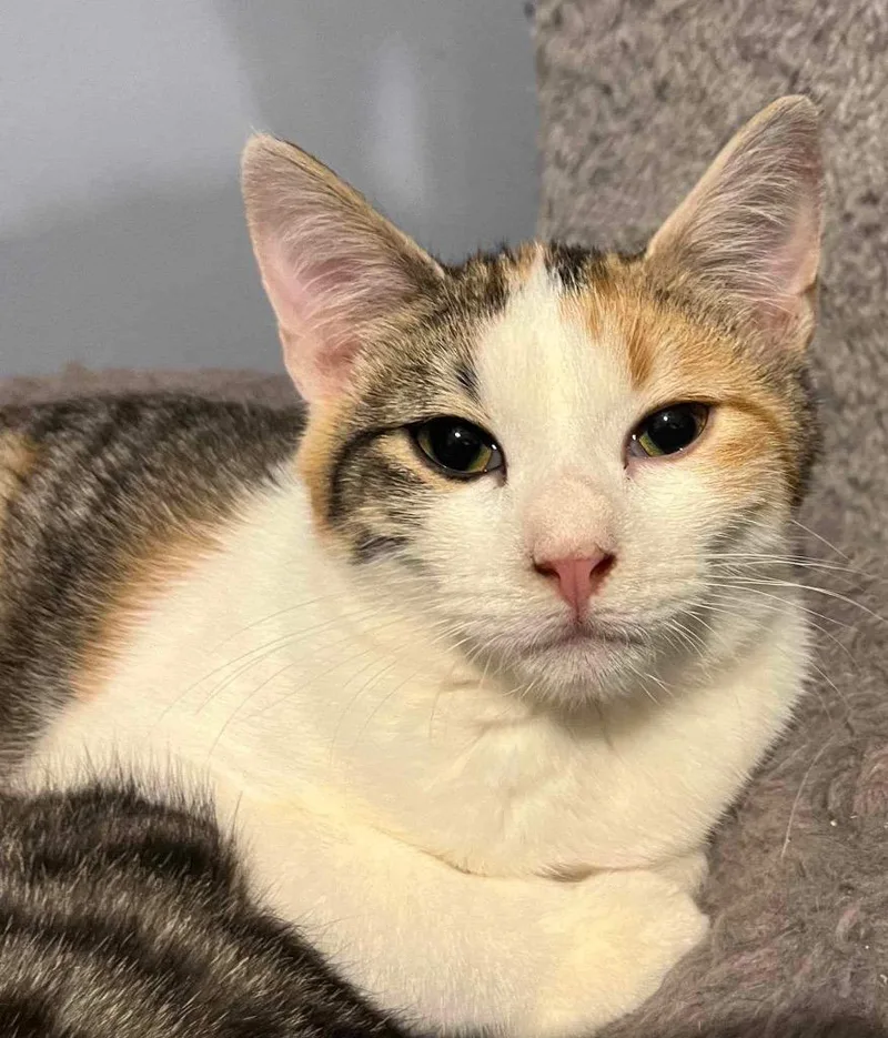 Reputation thumbnail 3