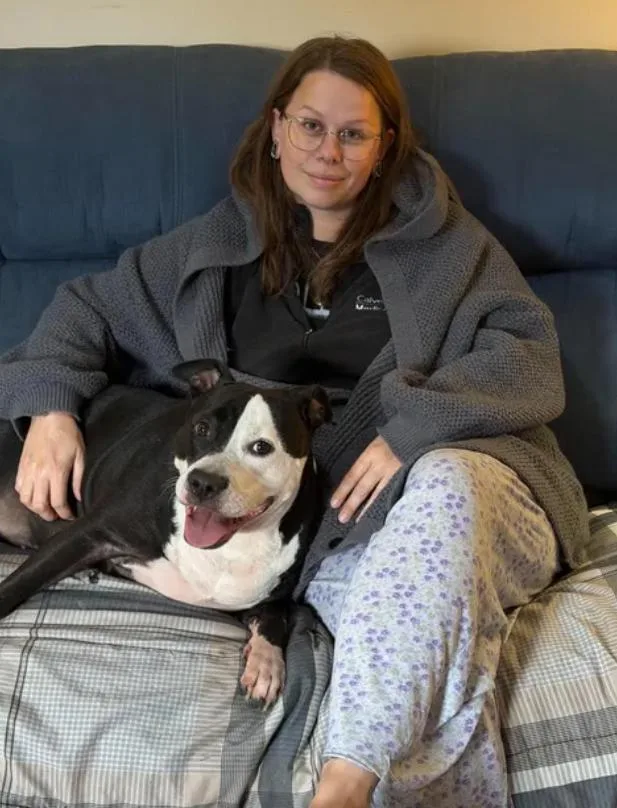 An adult large-sized female Pit Bull Terrier dog named Dior for adoption in Baltimore, MD
