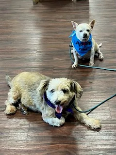 Benson And Elmer thumbnail 3