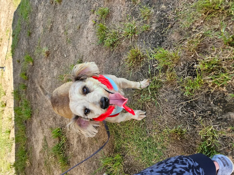 Benson And Elmer thumbnail 4