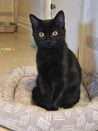 Aunt Zelda thumbnail 3