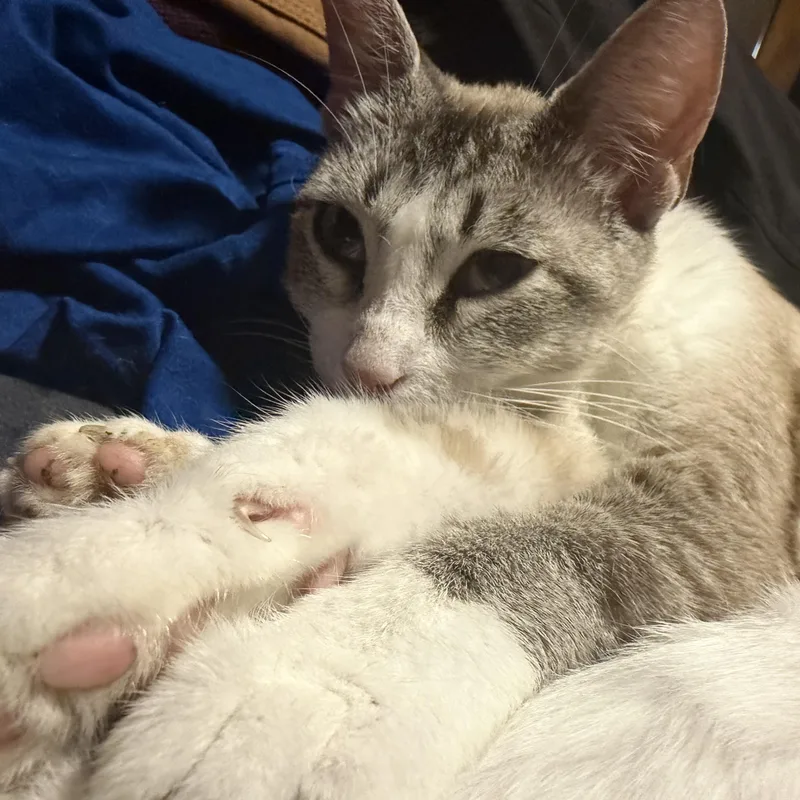 Sally thumbnail 3