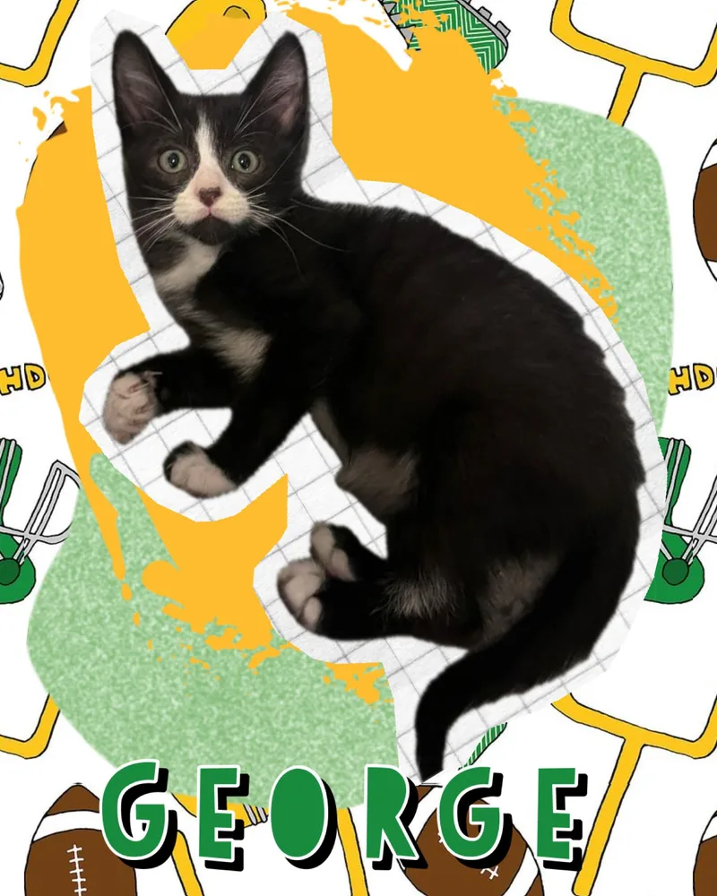 George thumbnail 3