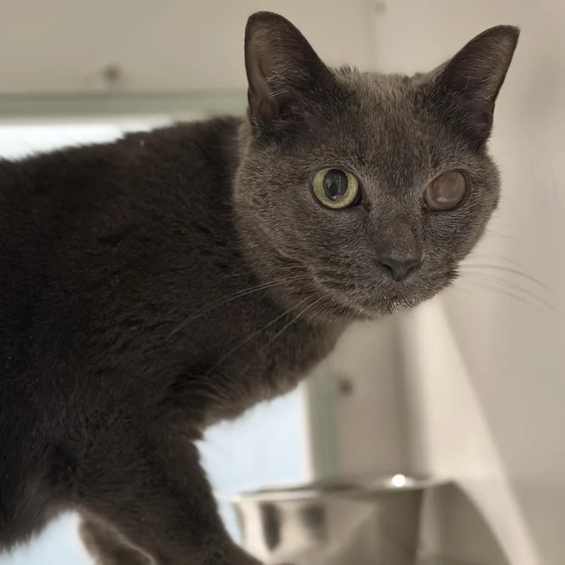 Skittles thumbnail 2