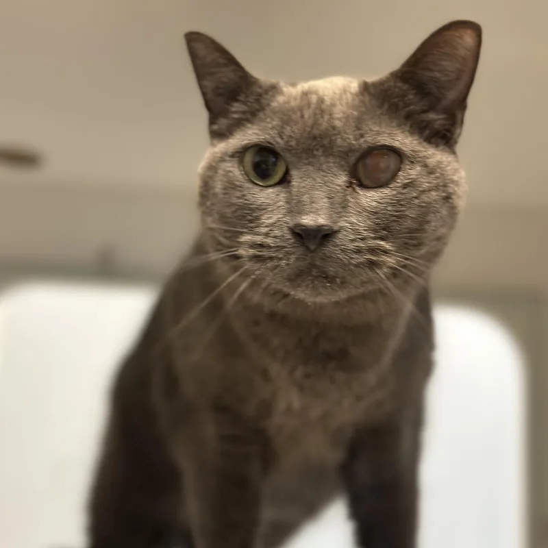 Skittles thumbnail 3