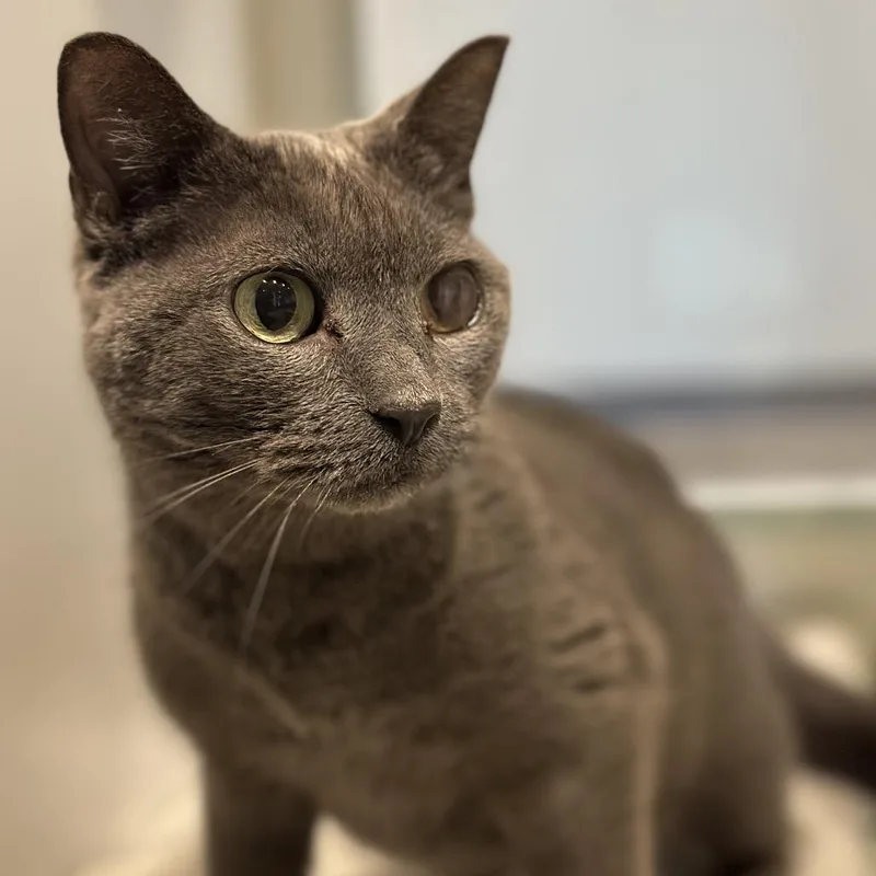 Skittles thumbnail 4