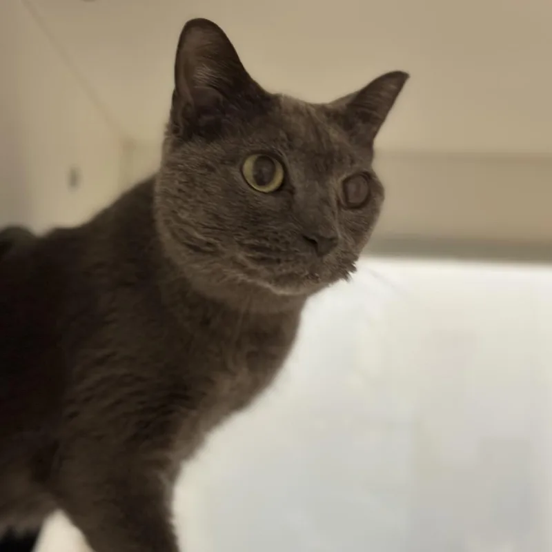 Skittles thumbnail 5