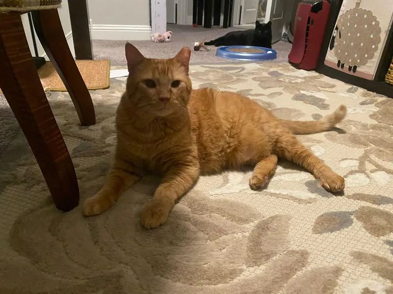 Jet And Red thumbnail 2