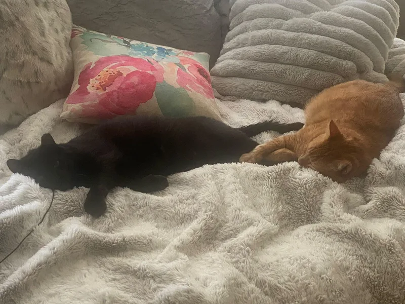 Jet And Red thumbnail 5