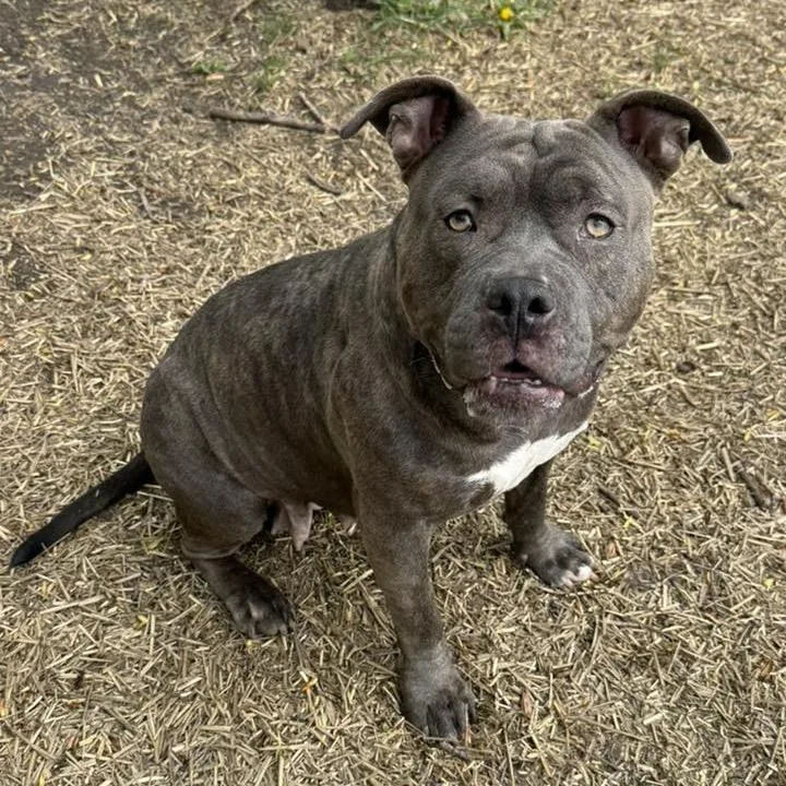 Penelope thumbnail 5