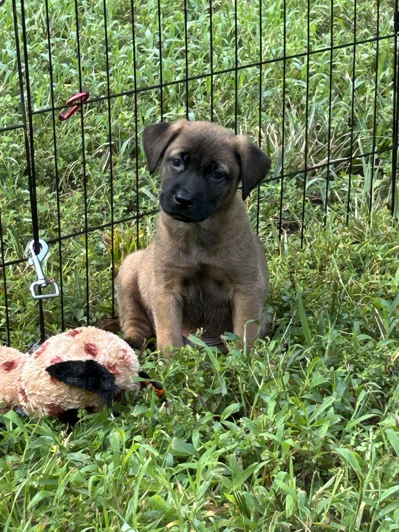 Buster